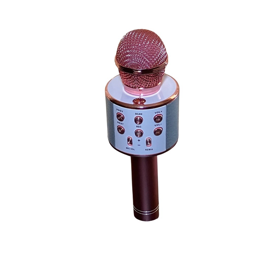 Gabba Goods Wireless Bluetooth Karaoke Microphone Rose Gold No Charging Cord